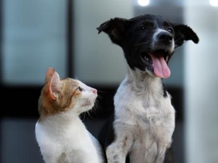 How To Improve Your “Executive Presence”? Balance Advocacy And Inquiry