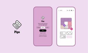 Today’s NYT ‘Pips’ Hints, Solution And Walkthrough For Saturday, November 16